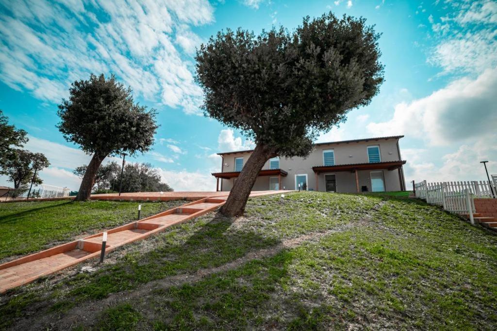 Agriturismo Il Colle Dei Lecci Ancona Exteriör bild